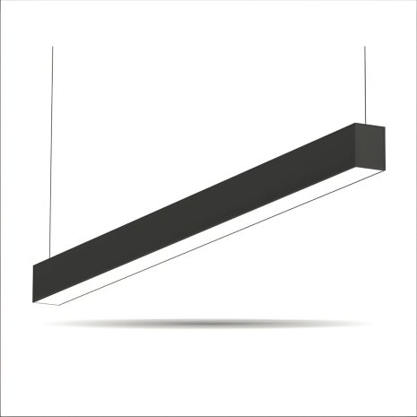 Salva1