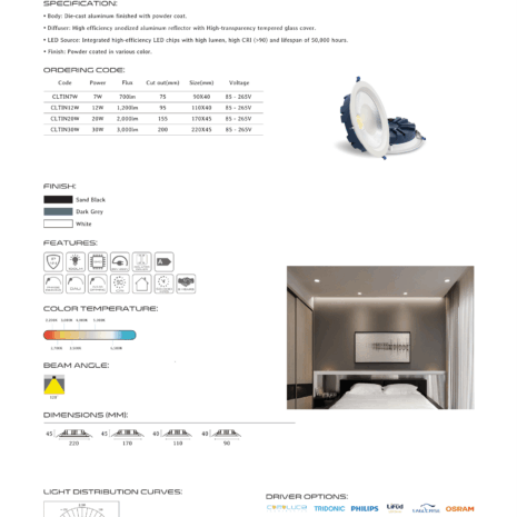 Tina - Downlight-1
